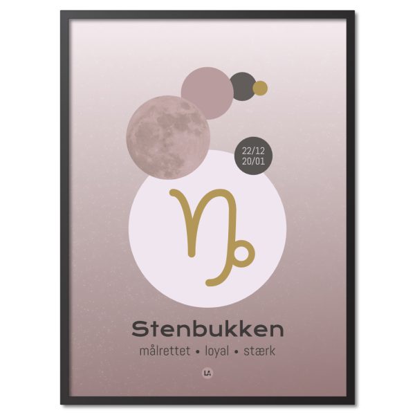 stjernetegn stenbukken