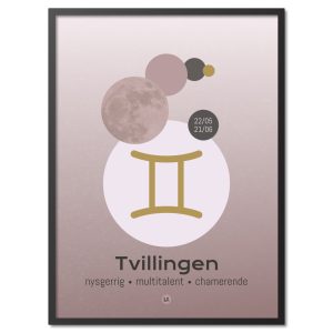 Stjernetegn Tvillingen