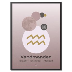 Stjernetegn Vandmanden